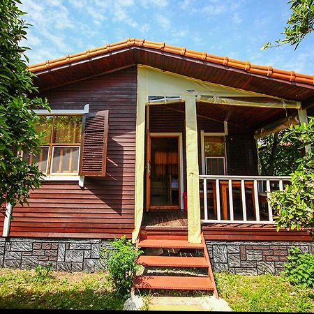 Three Islands Bungalow Çıralı Extérieur photo