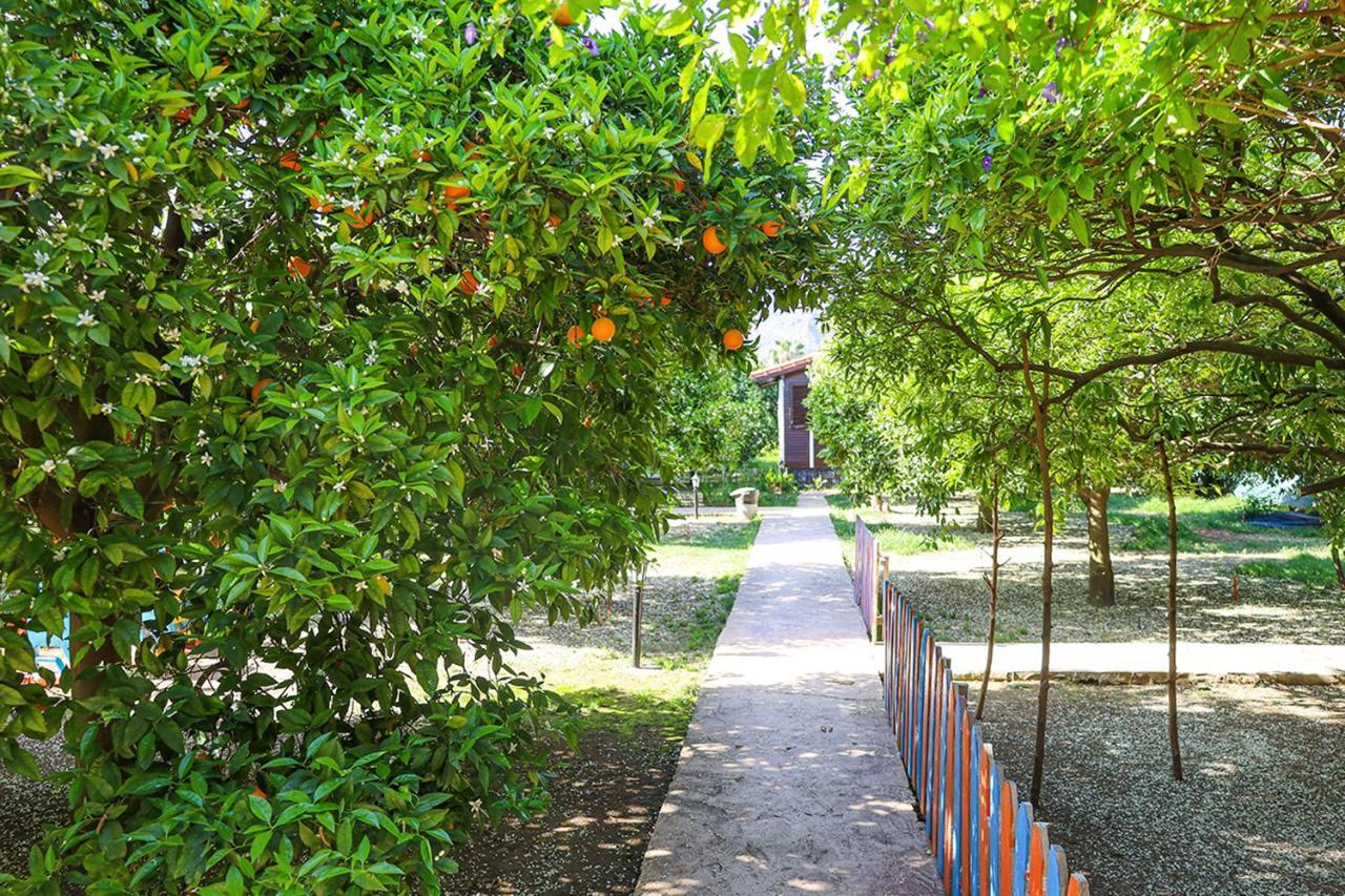 Three Islands Bungalow Çıralı Extérieur photo