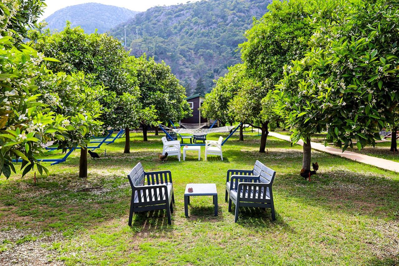 Three Islands Bungalow Çıralı Extérieur photo