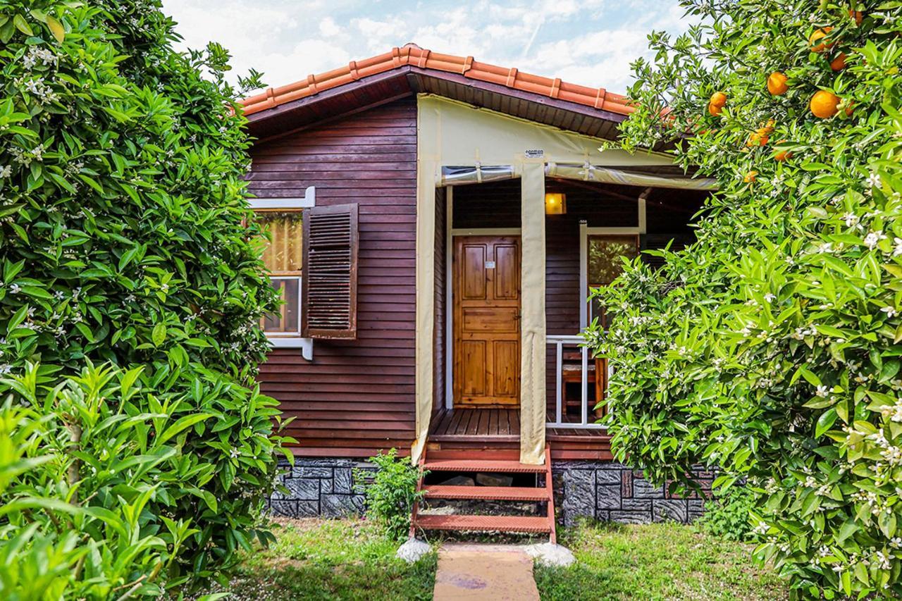 Three Islands Bungalow Çıralı Extérieur photo