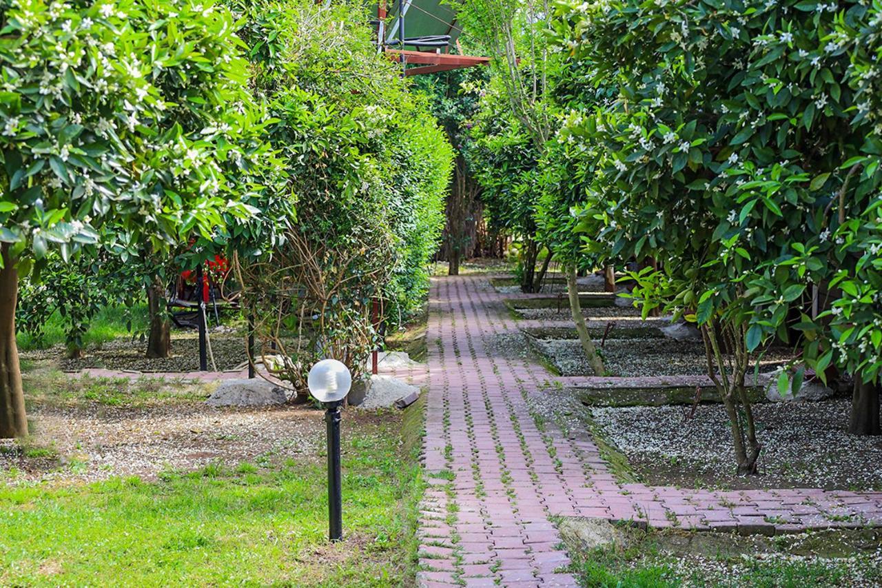 Three Islands Bungalow Çıralı Extérieur photo